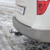Фаркоп Hyundai H-1 с 2007 - / STAREX c 2007 -  съемный квадрат — изображение 8